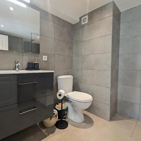 Apartment Cosy 152 Proche Aeroport -gare-groupama Stadium-lyon *